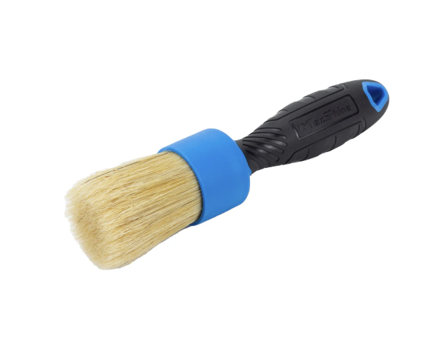 Maxshine Natural Boar's Hair Detailing Stubby Brush - Blue